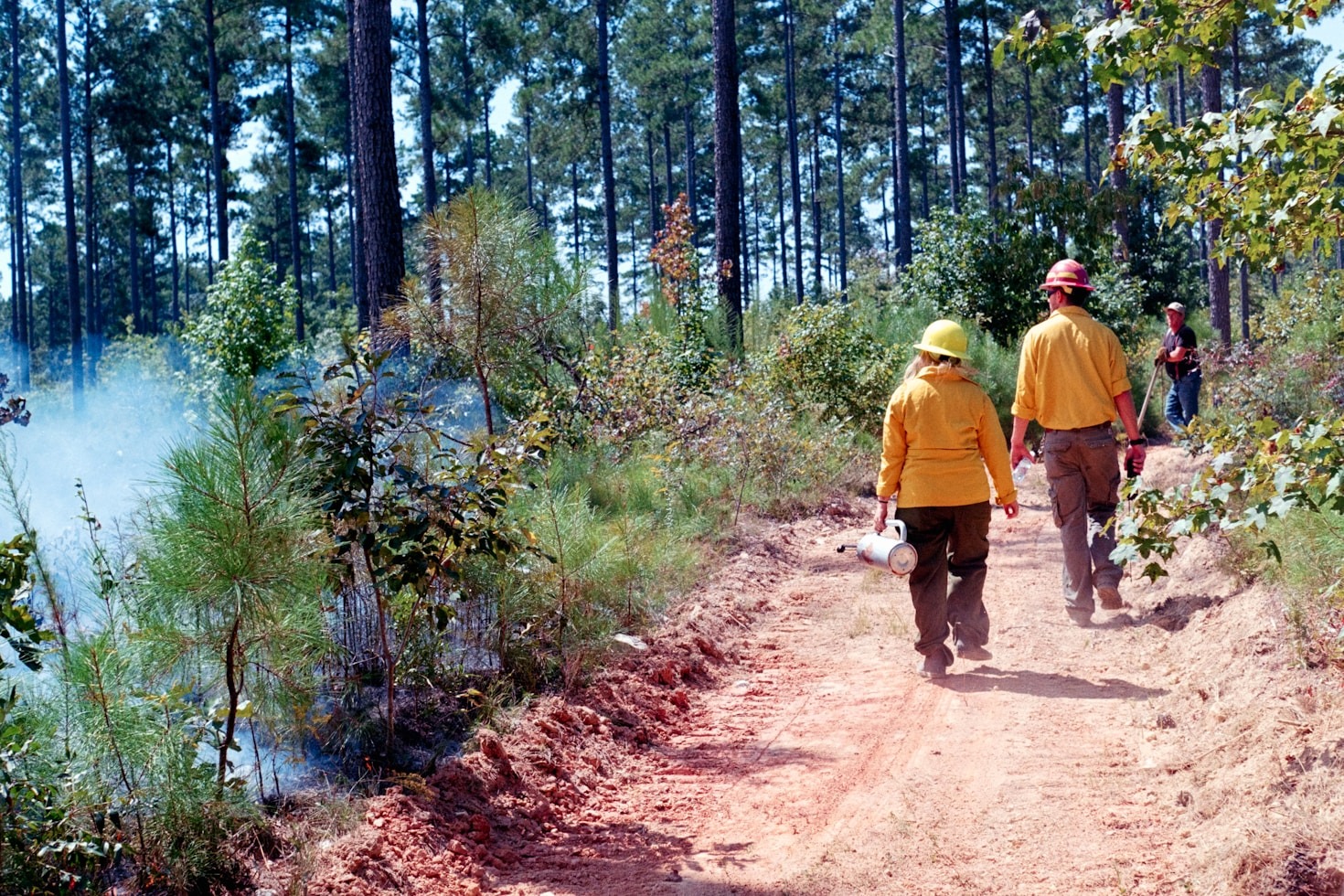 The Economic Impact Of Sustainable Woody Biomass