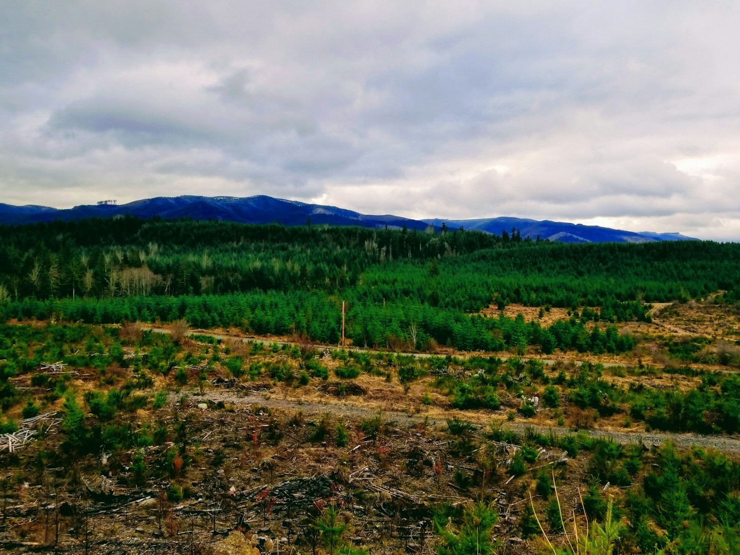 Policy Initiatives Shaping The Future Of Fuel